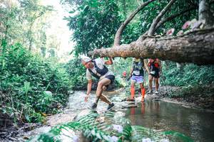 BIB: 
                            <button type="button" onclick="openModal(25439011)" class="btn btn-primary btn-sm float-right btn-popup" data-toggle="modal" data-target=".modal-high-quality">
                        <i class="fas fa-shopping-cart"></i> Add to Cart
                    </button>
                                            <button type="button" onclick="isThisMe(25439011, true)" class="btn btn-success btn-sm float-right btn-popup btn-isme hidden" data-toggle="tooltip" data-placement="bottom" title="นี่คือรูปของคุณใช่ไหม คลิกที่นี่เพื่อเอาเข้าอัลบั้ม">
                        <i class="fas fa-plus"></i> Add to album
                    </button>
                    <button type="button" onclick="isThisMe(25439011, false)" class="btn btn-warning btn-sm float-right btn-popup btn-isnotme hidden">
                        <i class="fas fa-ban"></i> Remove from album
                    </button>